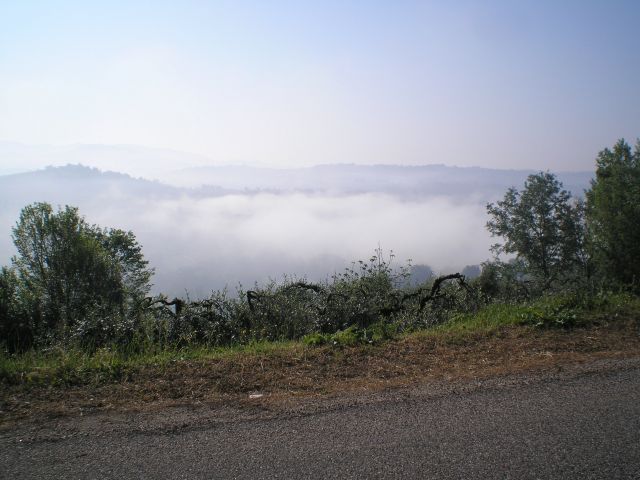 Nebbia 2