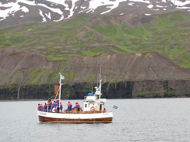 Battello in legno per l'avvistamento di balene