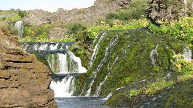 cascate Stong